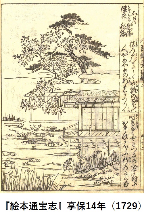 �w�G�{�ʕ�u